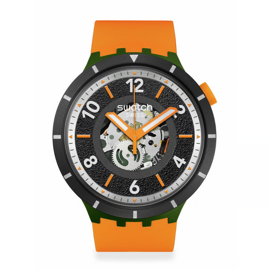 RELOJ SWATCH SB03G107 POWER OF NATURE FALL IAGE