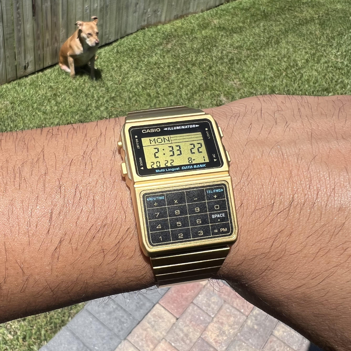 RELOJ CASIO CALCULADORA DBC-611G-1D ACERO DORADO